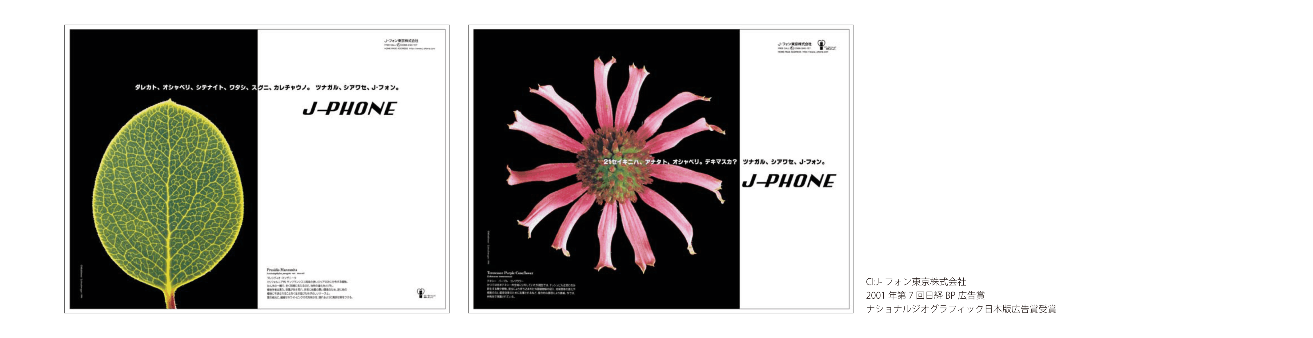 CI:J-フォン東京株式会社|2001年第7回日経BP広告賞|ナショナルジオグラフィック日本版広告賞受賞